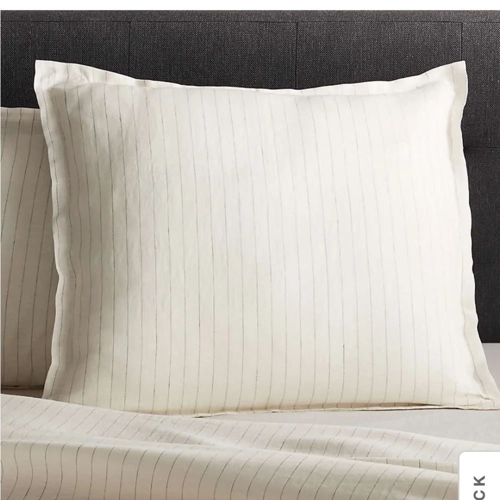 Crate & Barrel euro sham. Pure linen, warm white